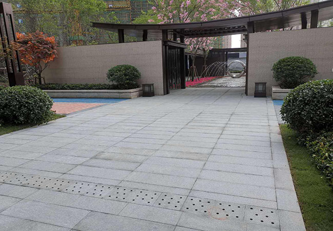 山東佳藝芝麻白廠家(圖3)