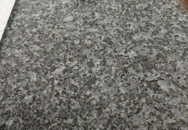 章丘芝麻黑廠家(圖1)