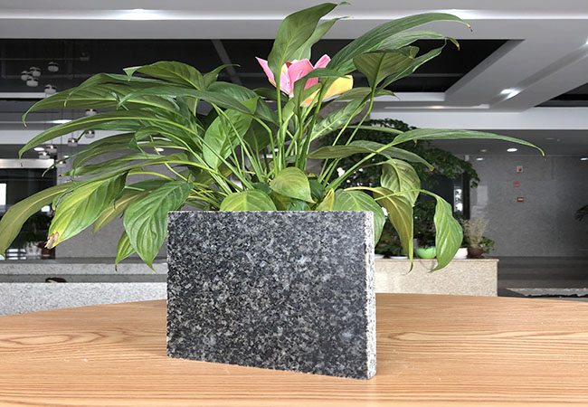 廠家推薦芝麻黑菠蘿面(圖3)